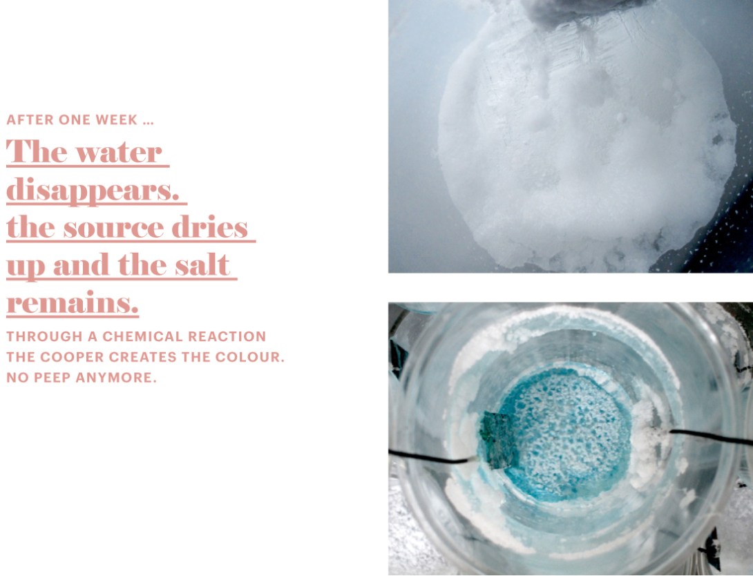 claudiaberta_guggi_ein haufen energie_06