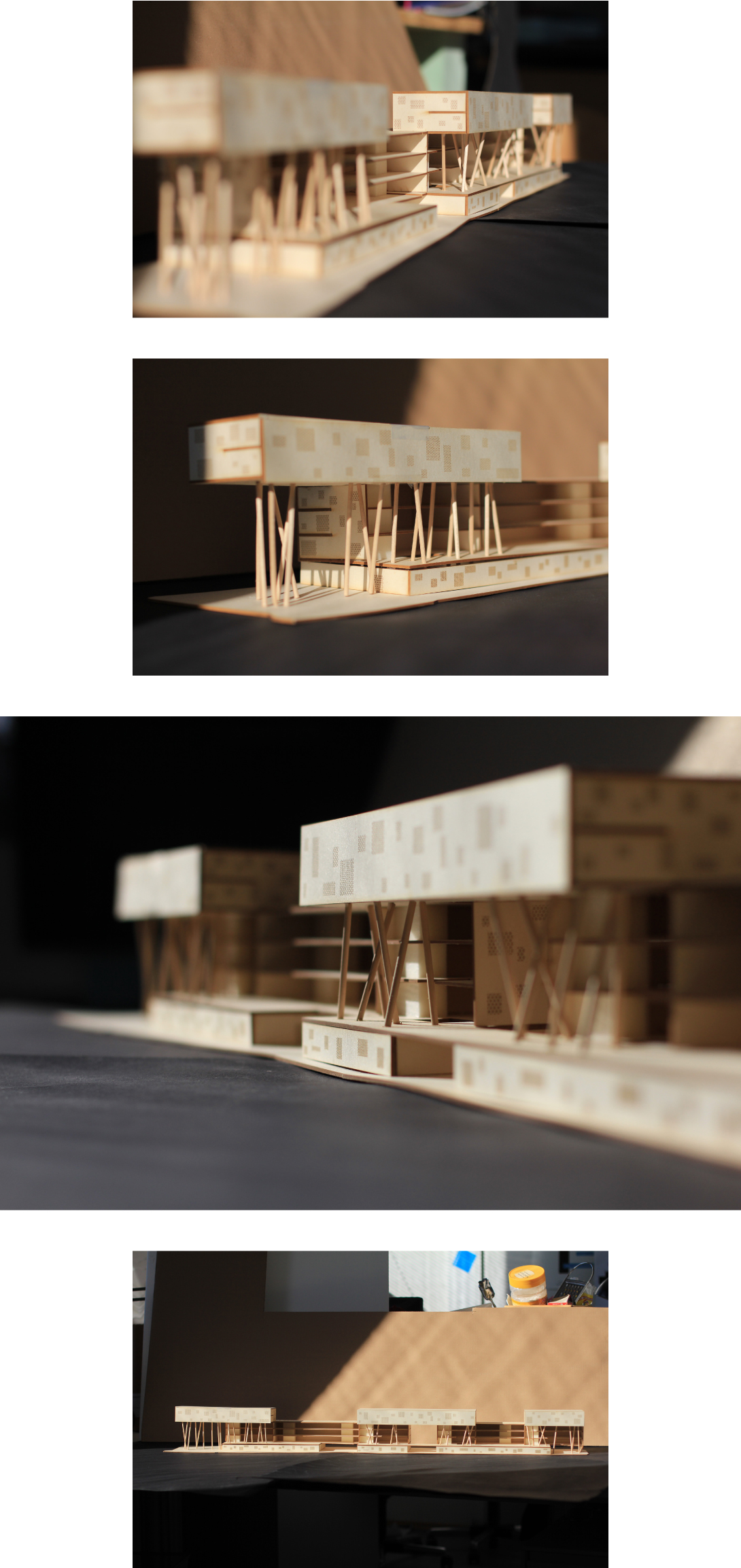 claudia berta_guggi genger_symbiosis_06