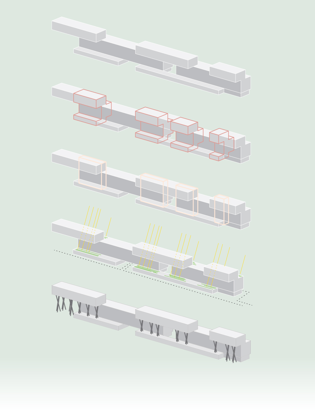 claudia berta_guggi genger_symbiosis_10