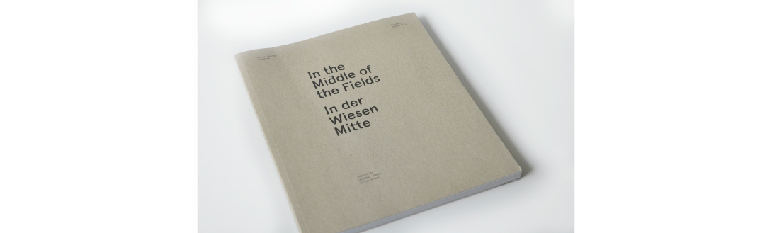 claudia berta_mbi_guggi_genger_wiesen mitte_01